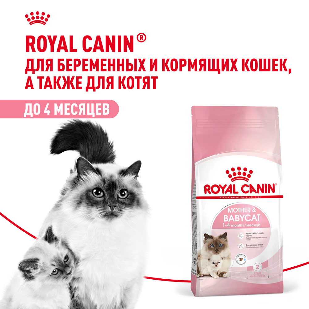 Royal Canin Mother&Babycat Мазэ энд Бэбикэт Корм сухой для котят в период первой фазы роста и отъема беременных и кормящих кошек 4кг