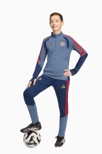 Штаны adidas FC Bayern 26/27 Training Junior - синий
