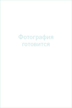Юбка женская 3884ВП, серый #485Сер013884ВП