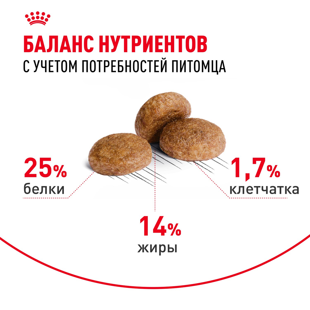Royal Canin Medium Adult 7+ Медиум Эдалт Корм сухой для взрослых собак средних размеров от 7 лет и старше 15кг