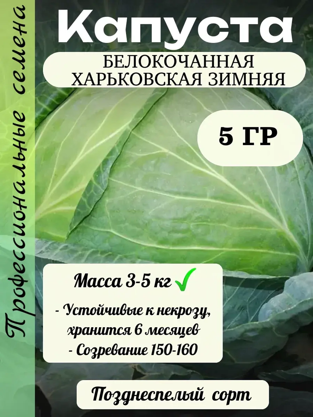 Семена капуста белокочанная Харьковская зимняя 5 гр