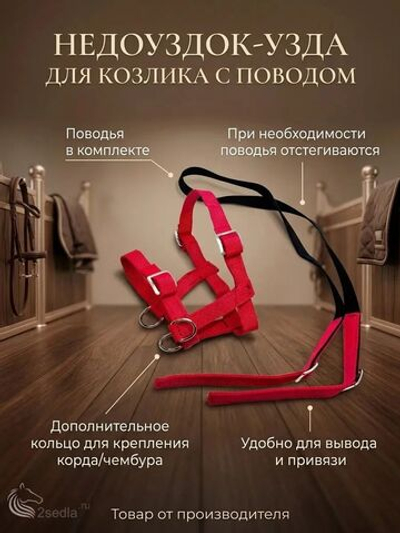 Недоуздок узда для козлика с поводом красный