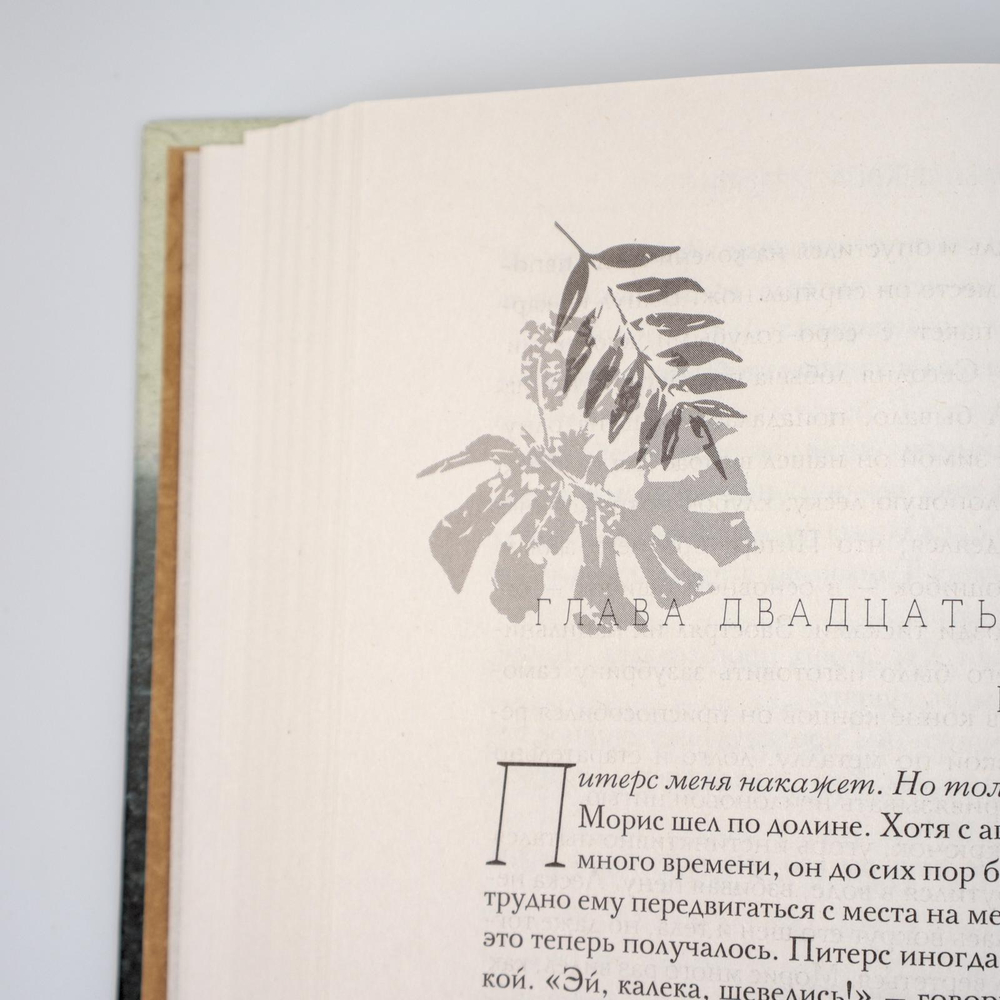 Долговая палочка | Карл Никсон