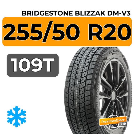 Bridgestone Blizzak DM-V3 255/50 R20 109T XL