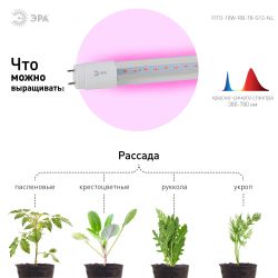 Фитолампа для растений светодиодная ЭРА FITO-18W-RB-Т8-G13-NL и мясных прилавков 18 Вт Т8 G13 красно-синего спектра | Фитолампы T8