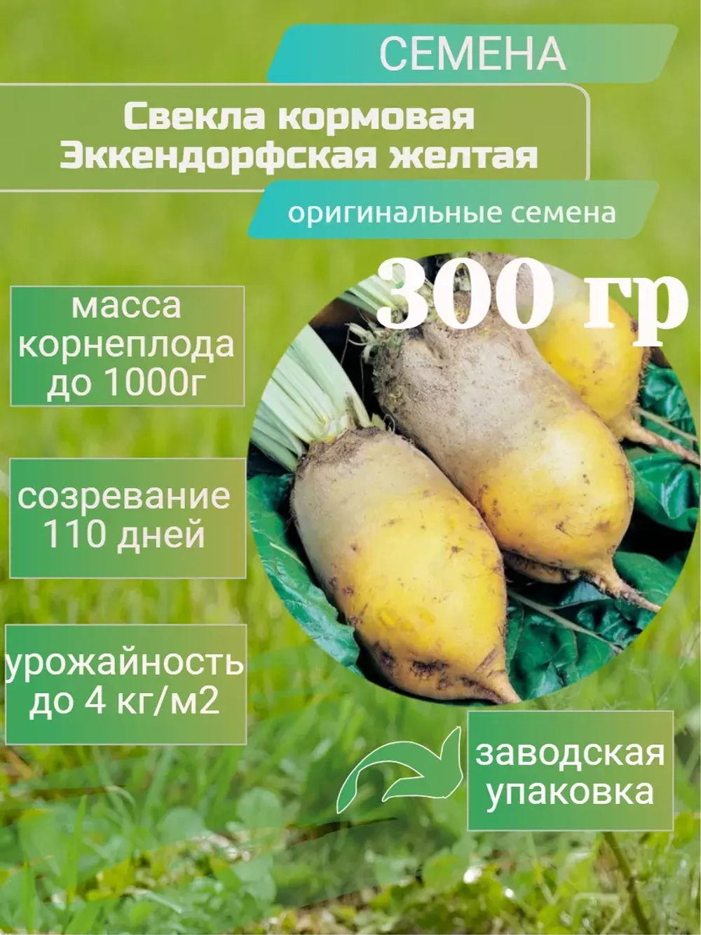 Свекла кормовая Эккендорфская желтая