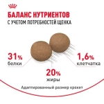 ROYAL CANIN Mini Puppy Корм сухой для щенков мелких пород в возрасте 2-10 месяцев, 800 г