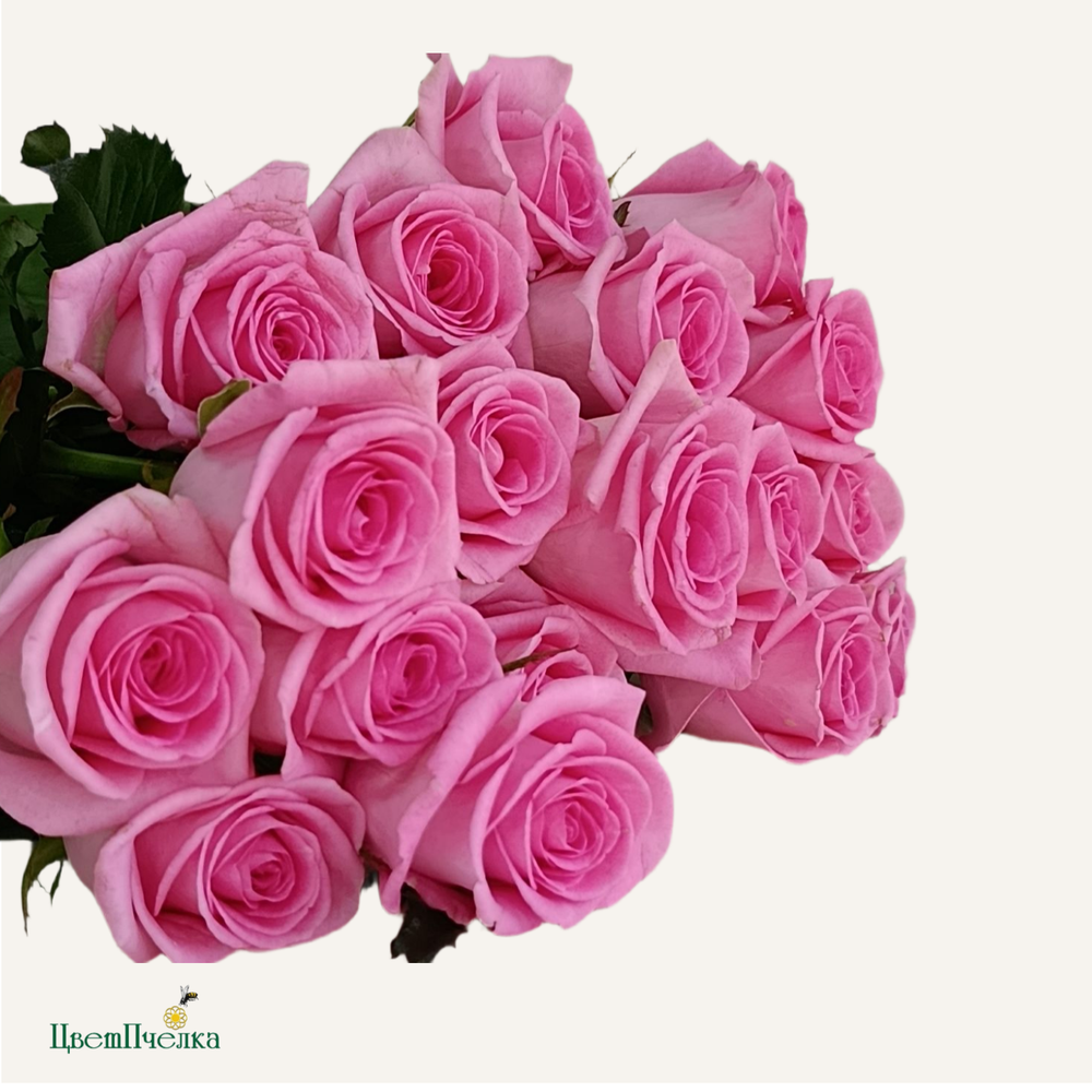 Фон карточки (13).png
