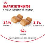 Сухой корм Royal Canin Bulldog Adult для взрослых собак породы Бульдог от 12 месяцев 12кг