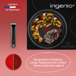 Набор посуды со съемной ручкой Tefal Ingenio Daily Chef Black L7629142 10 предметов