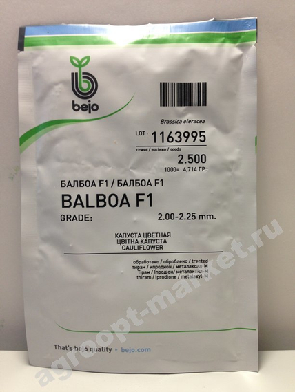 Балбоа F1 семена капусты цветной (Bejo / Бейо) упаковка 2 500 шт. – фото 3