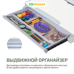Письменный стол для школьников Ergokids Edmonton c полкой подставкой