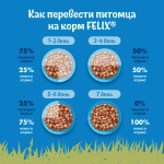 Курица в соусе природа вкуса жидкий корм для взрослых кошек Felix 85г