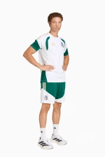 Шорты adidas Италия 2026 Training - зеленый