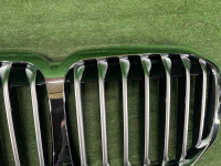 Решетка радиатора BMW X7 G07 (2019-2022)