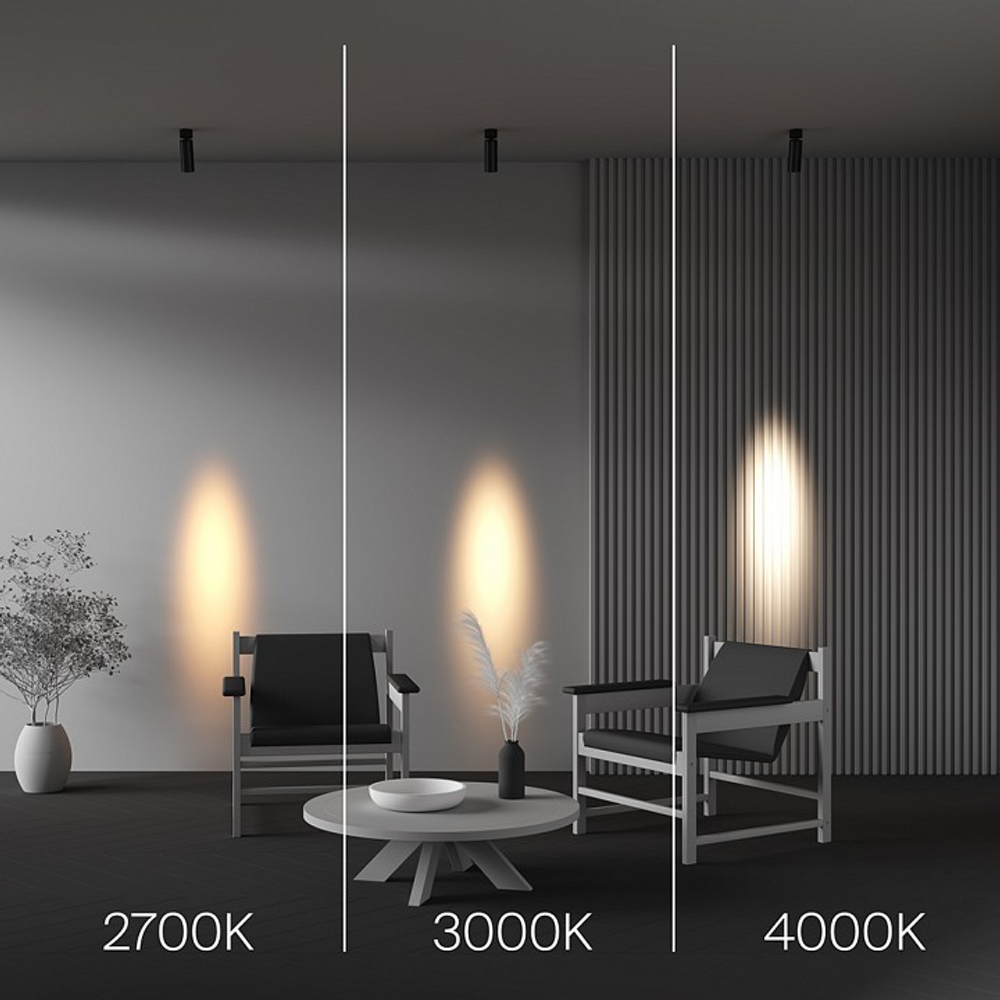Светильник на штанге Maytoni Technical FOCUS LED C055CL-L12W4K-SS-B