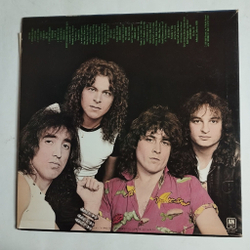 Винтажная виниловая пластинка LP Y and T Earthshaker (Japan 1982) (No Obi)