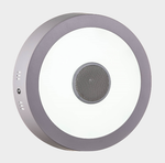 Настенно-потолочный светильник LED4U 317 Bluetooth music 18W D21