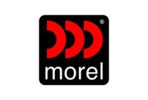 Morel