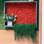 Мох ягель "Decoration" бордовый