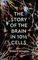 The Story of the Brain in 10½ Cells
