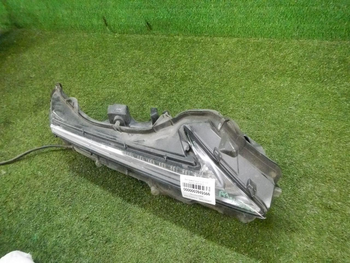 DSCN9527.jpg