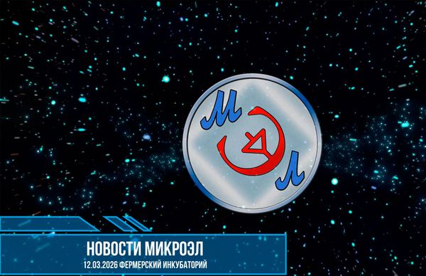 Новый инкубаторий для индейки