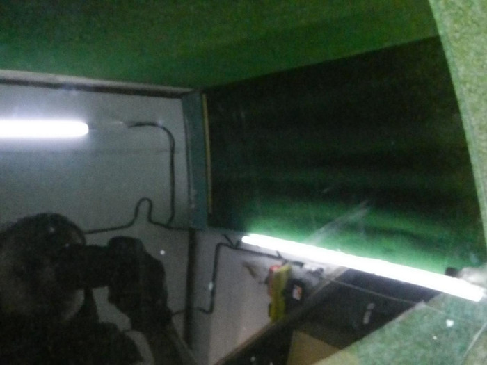 DSCN3397.JPG