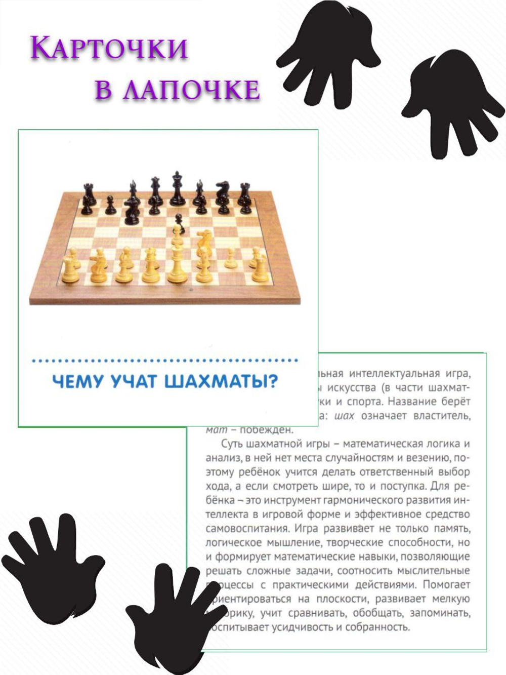 Карточки в лапочке. Финансы (33 карточки с заданием на обороте)