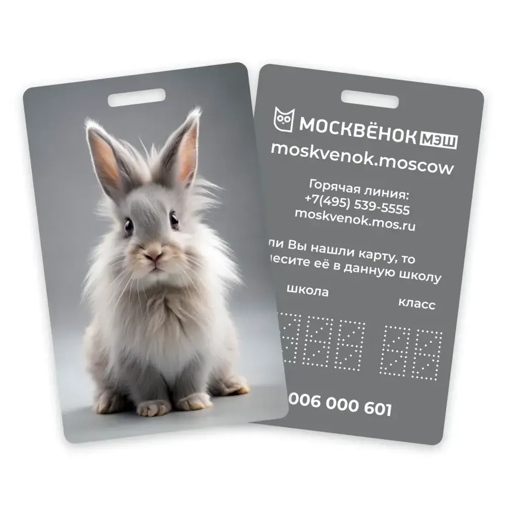 Карта Москвёнок BUNNY №7 (проход + питание)