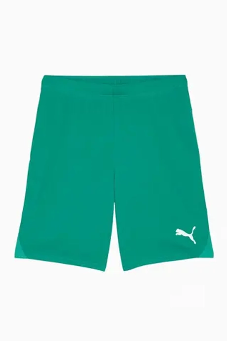 Шорты Puma teamGOAL - зеленый