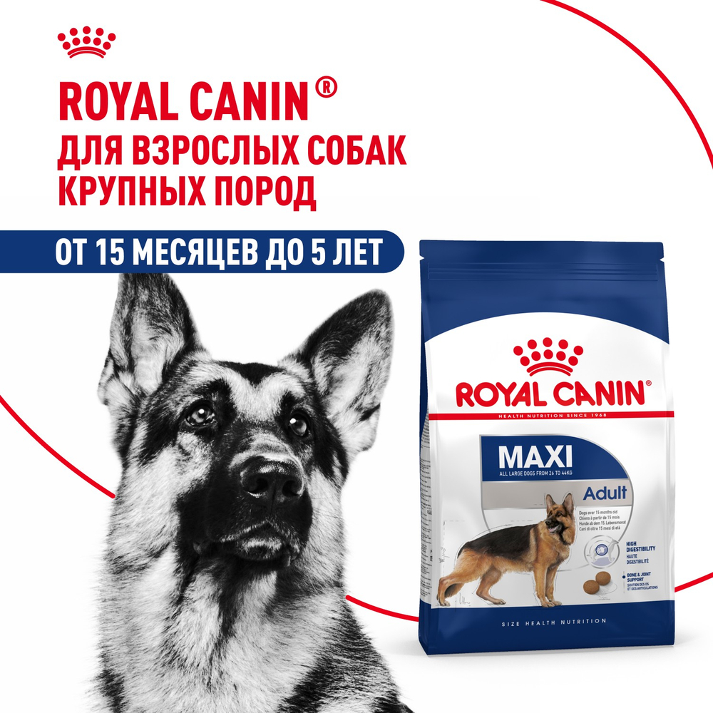 Royal Canin Maxi Adult Макси Эдалт Корм сухой для взрослых собак крупных размеров от 15 месяцев до 5 лет 15 кг