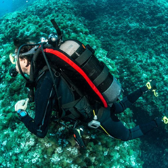 Жилет-компенсатор BCD Seac Sub Modular Оne size Тип-крыло красный