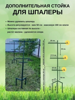Шпалера садовая для малины и ежевики