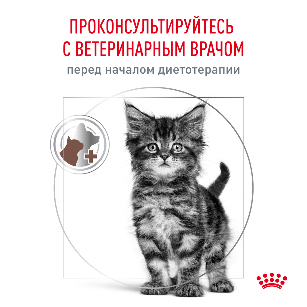 ROYAL CANIN Gastrointestinal Kitten Корм сухой для котят от 2 до 10 месяцев при нарушениях пищеварения, 350 г