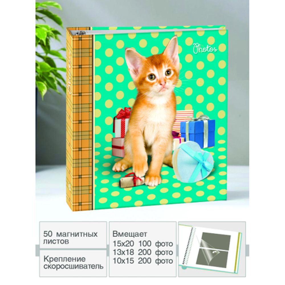 Image Art SA-50RB-Р/23*28 серия 257 | Image Art