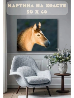 Картина на стену 40 X 50 Конь