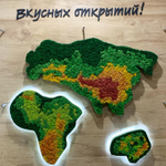Карта мира из стабилизированного мха ягеля для супермаркета "Табрис"  г.Краснодар