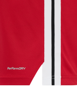 Майка баскетбольная JÖGEL DIVISION PerFormDRY Jersey R2, красный