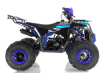 Квадроцикл WELS Thunder EVO