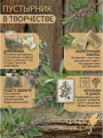 Пустырник природное успокоение для нервов и крепкого сна