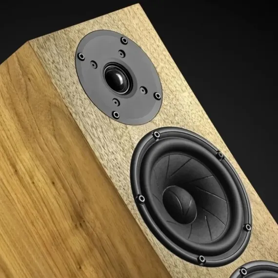 Pylon Audio Jasper 25 MK II active + stereo hub American Walnut