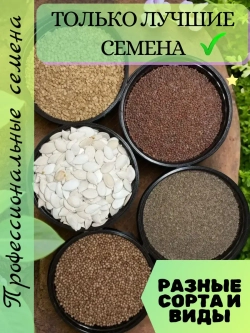 Семена Шток-роза Темно-бордовая