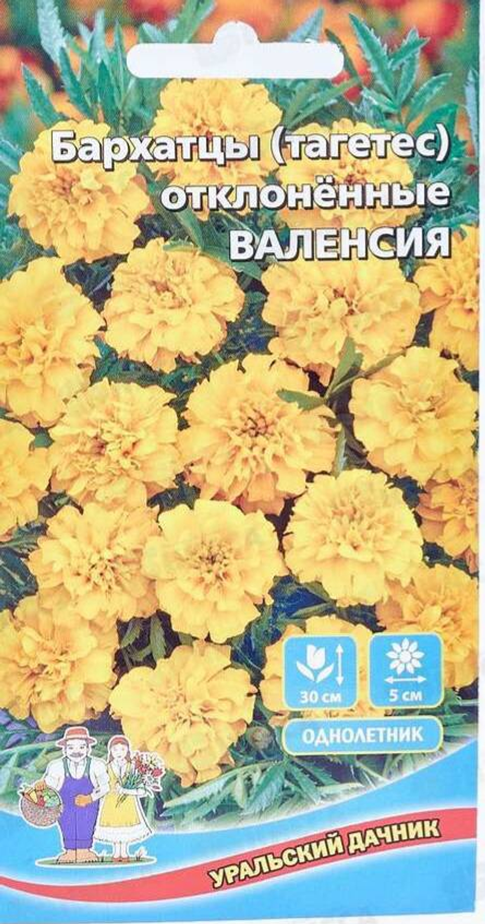 Бархатцы Валенсия отклоненные Евро *10 УрД +