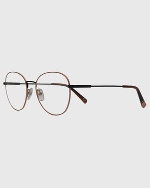 Neta