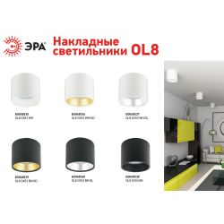 Светильник накладной ЭРА OL8 GX53 BK/GD под лампу GX53 черный/золото | Накладные светильники