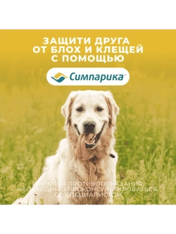 Симпарика, таблетки для собак весом от 20-40кг, 3 таб.