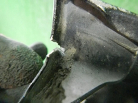 DSCN8517.JPG