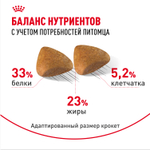 Сухой корм Royal Canin Sphynx Adult для кошек породы Сфинкс 10кг