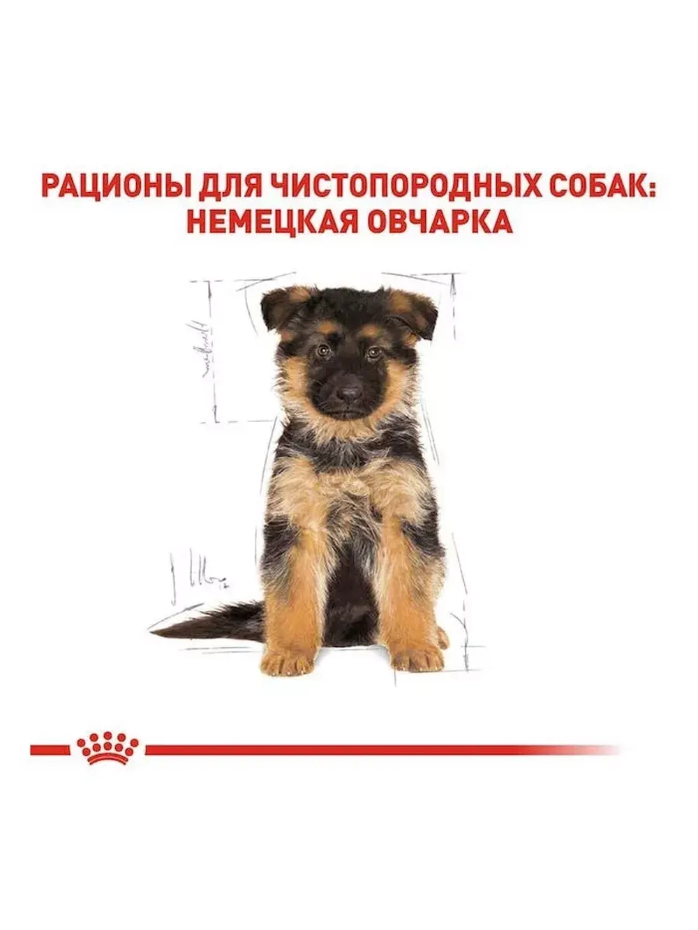 ROYAL CANIN German Shepherd Puppy PRO (Роял Канин немецкая овчарка Паппи) корм сухой для собак 16 кг.